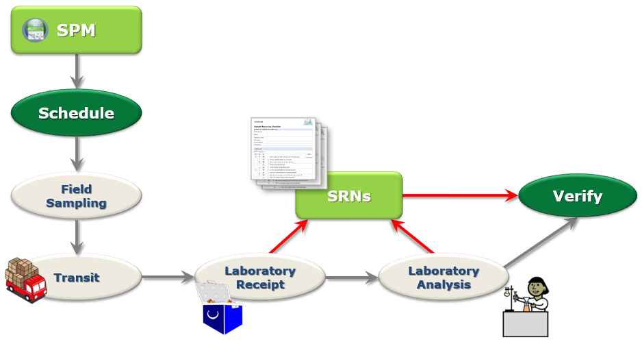 spm-srn-workflow2