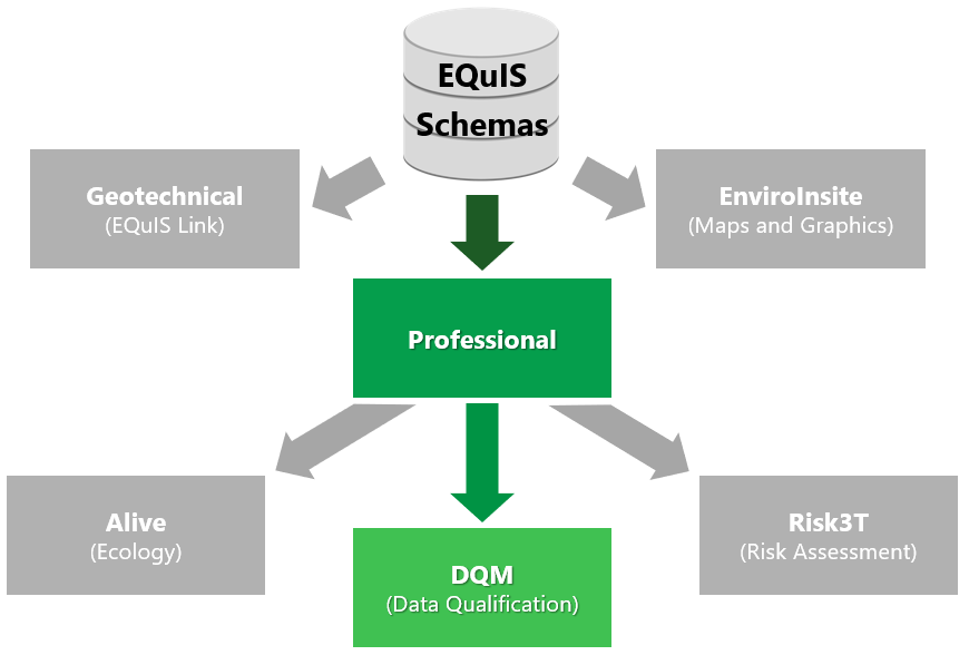 DQM_Workflow_Diagram