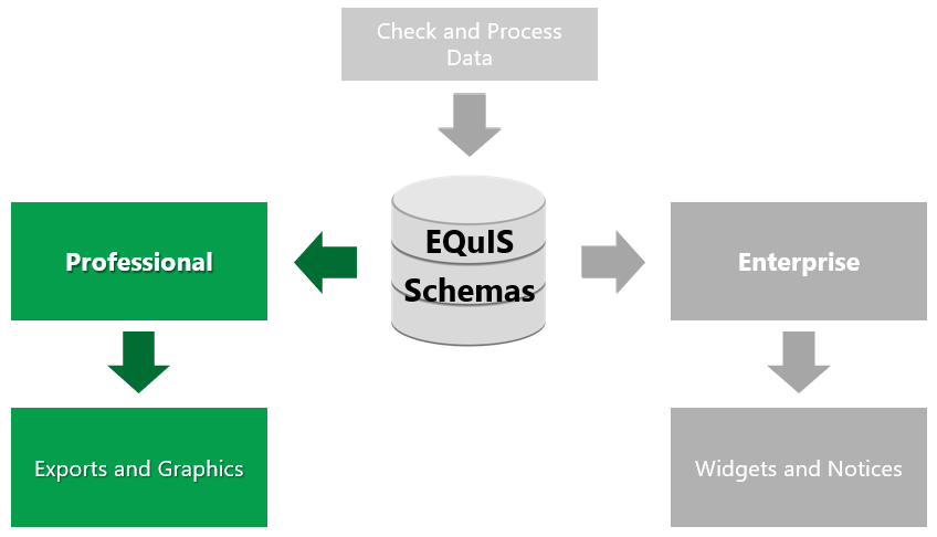 Professional_Workflow_Diagram