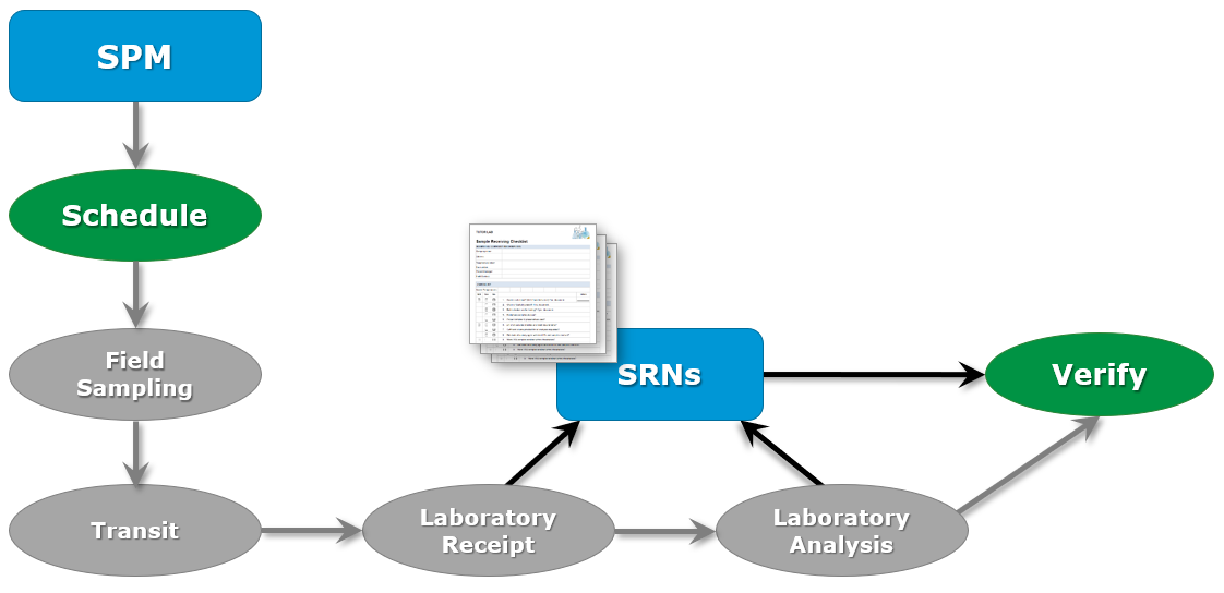 SPM-SRN-Workflow
